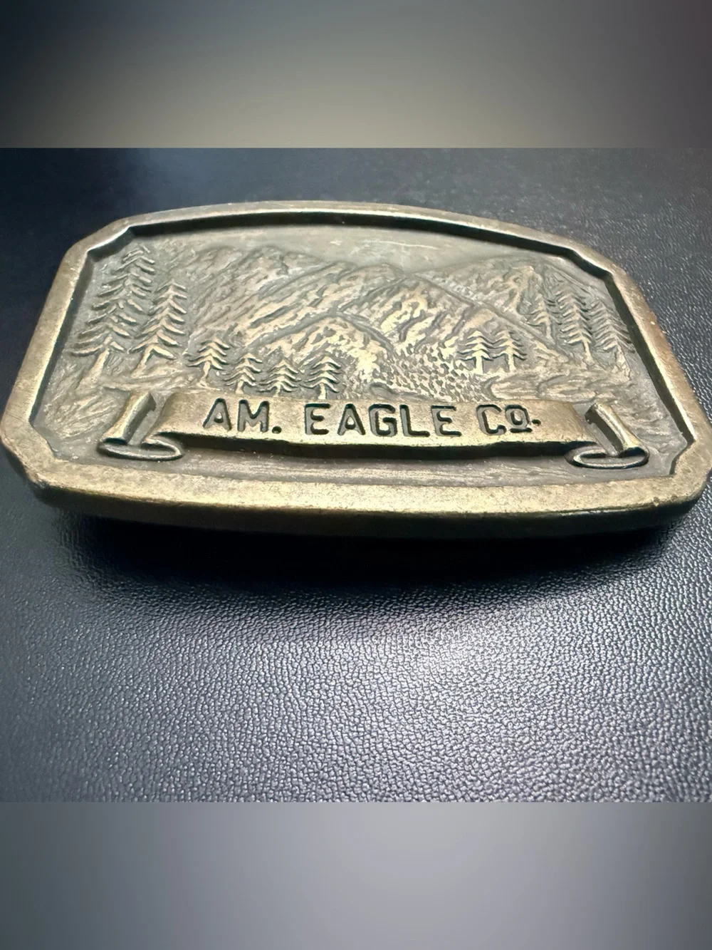 Vintage AM. EAGLE CO. Solid Brass Wilderness Belt Buckle